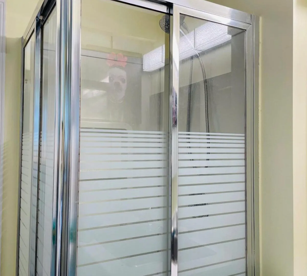 Spacious And Cozy Apartment Suite 哈利法克斯