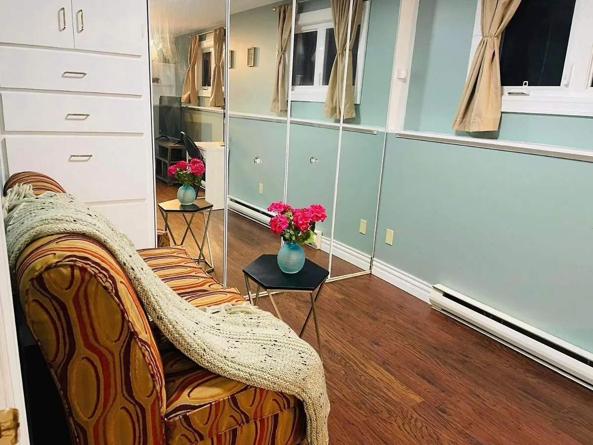 Spacious And Cozy Apartment Suite 哈利法克斯